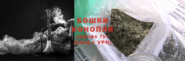 прущие грибы Липки