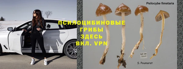 крисы Лиски