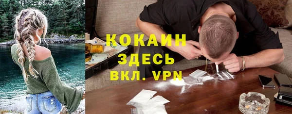 прущие грибы Липки