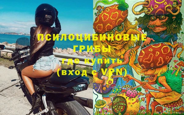 прущие грибы Липки