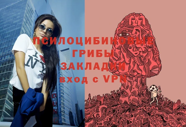 прущие грибы Липки