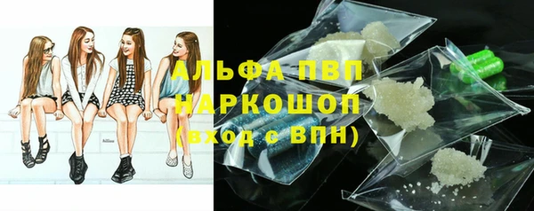прущие грибы Липки