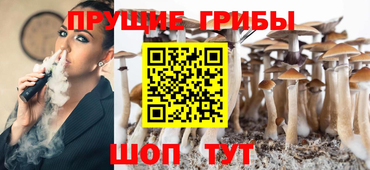 Галлюциногенные грибы ЛСД  Вход с VPN  Кимовск  Псилоцибиновые грибы GOLDEN TEACHER 